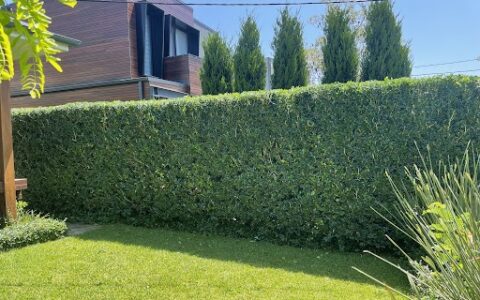 hedge-after